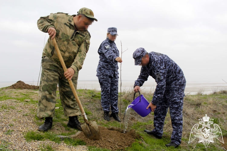 В Херсонской области росгвардейцы и экологи высадили «Сад Памяти» на легендарном плацдарме у Сиваша